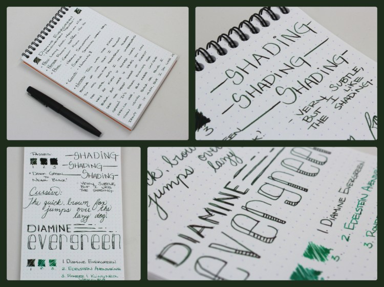 diamineevergreencoll