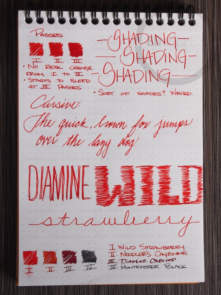 Diamine Wild Strawberry Fountain Pen Ink Review 2