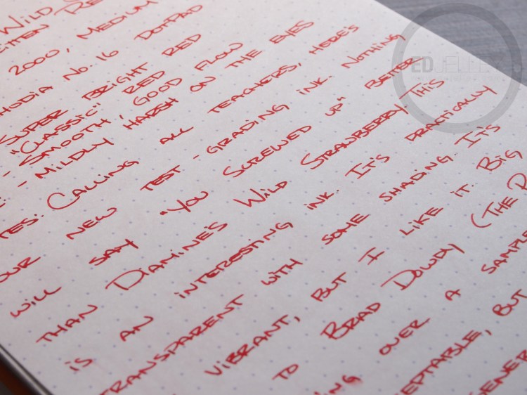 Diamine Wild Strawberry Fountain Pen Ink Review 7