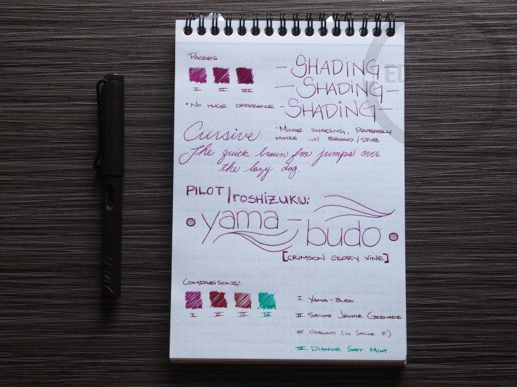 Pilot Iroshizuku yama-budo Foutnain Pen Ink Review 2