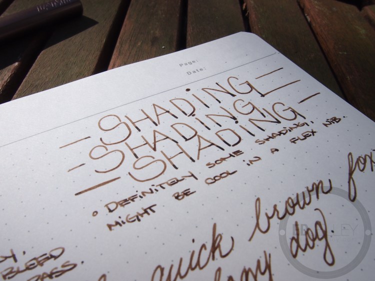 Noodler's Brown #41 - Handwritten Fountain Pen Ink Review