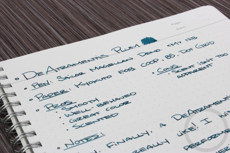 De Atramentis Plum Fountain Pen Ink Review