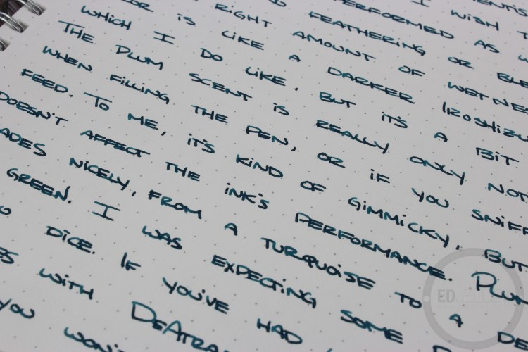 De Atramentis Plum Fountain Pen Ink Review