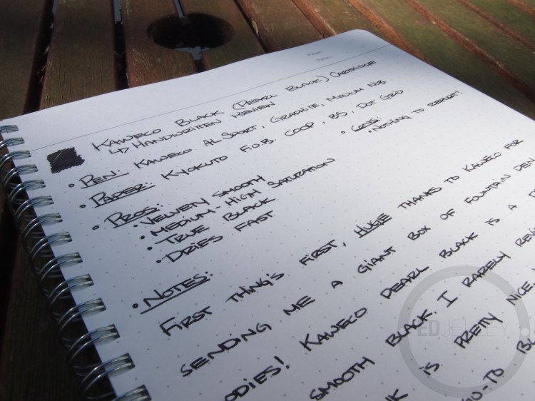 Kaweco Pearl Black Fountain Pen Ink Review - in bottle