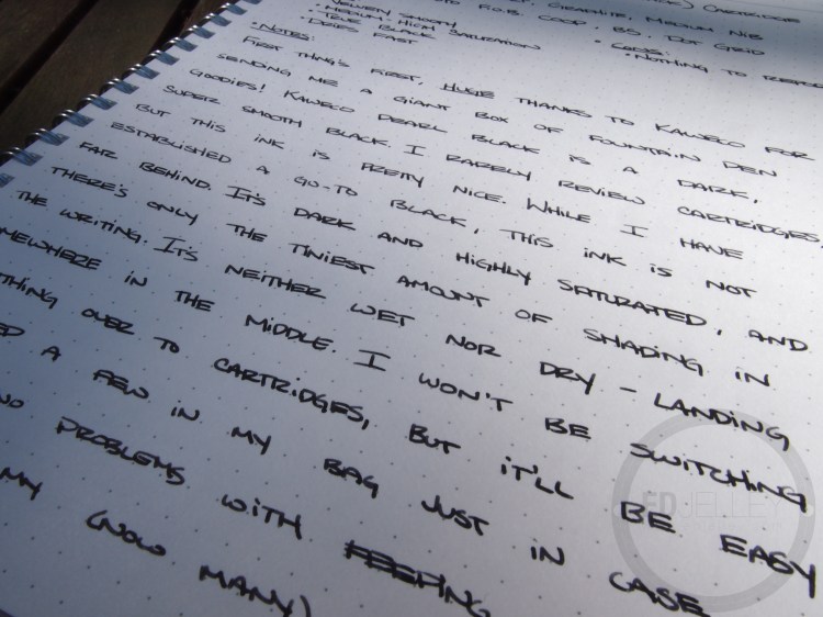 Kaweco Pearl Black Fountain Pen Ink Review - in bottle