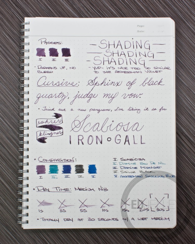 Roher and Klingner Scabiosa Iron Gall Fountain Pen Ink Review