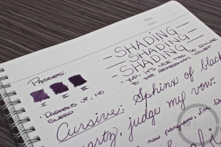 Roher and Klingner Scabiosa Iron Gall Fountain Pen Ink Review