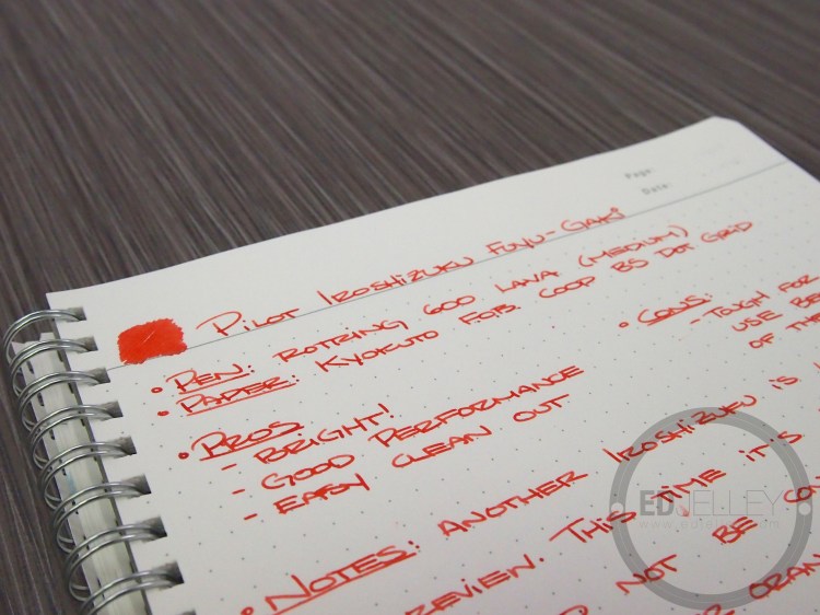 Iroshizuku Fuyu-Gaki Fountain Pen Ink Review