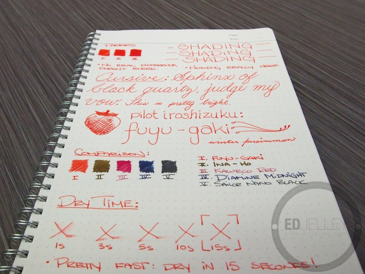 Iroshizuku Fuyu-Gaki Fountain Pen Ink Review