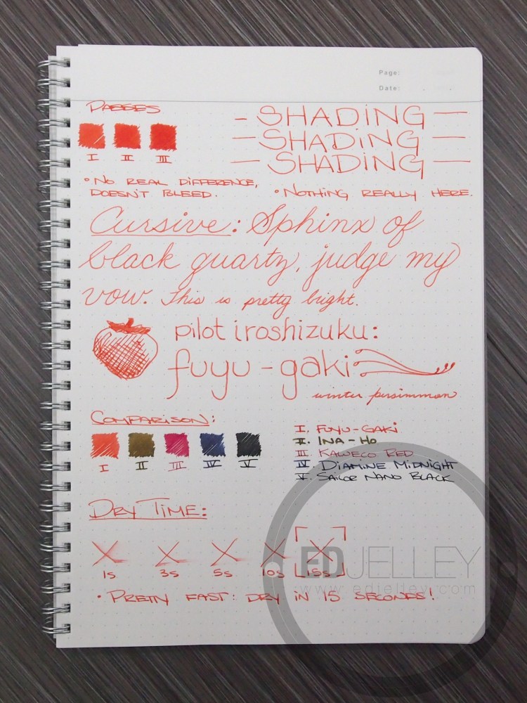 Iroshizuku Fuyu-Gaki Fountain Pen Ink Review