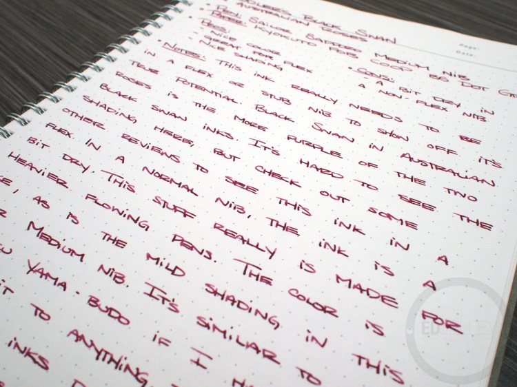 Noodler's Black Swan in Australian Roses Fountain Pen Ink Review