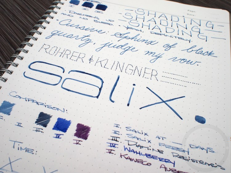 Rohrer & Klingner Salix Iron Gall Fountain Pen Ink Review