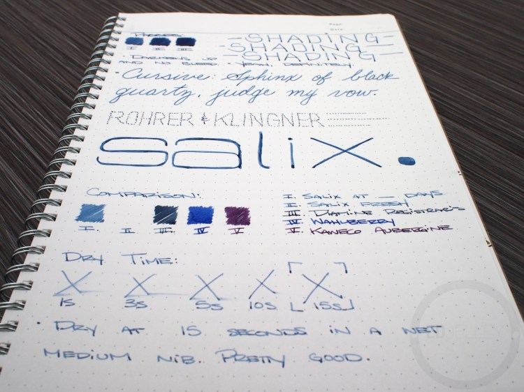 Rohrer & Klingner Salix Iron Gall Fountain Pen Ink Review