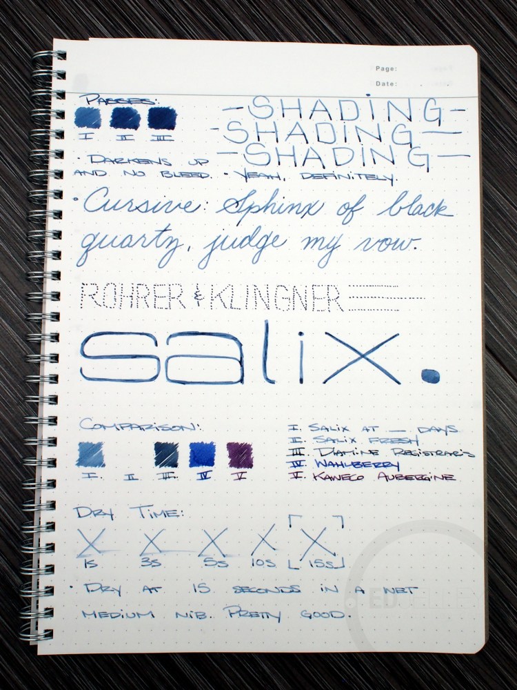 Rohrer & Klingner Salix Iron Gall Fountain Pen Ink Review
