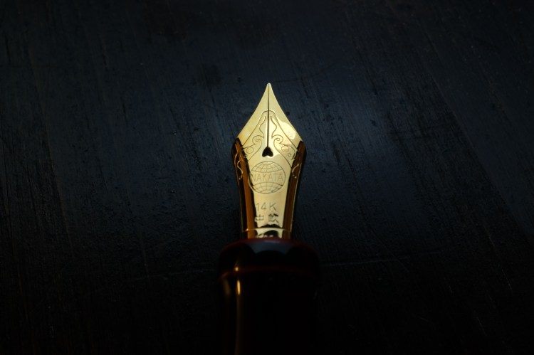 Fountain Pen Macro Nib Shots-2