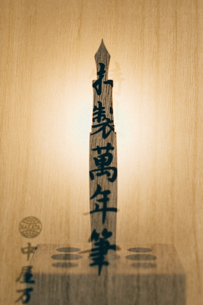 Fountain Pen Double Exposure-8