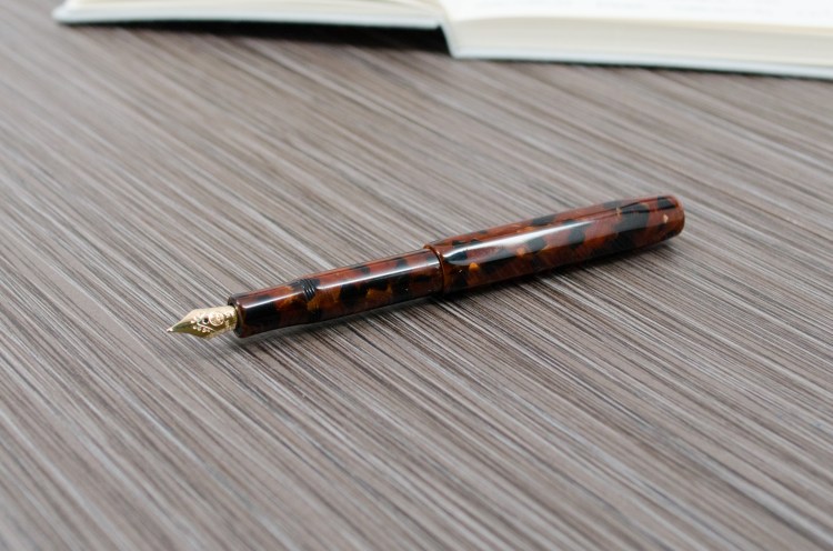 Kaweco 14k Gold Nib Review-6