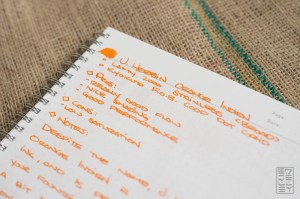 J. Herbin Orange Indien Fountain Pen Ink Review-2